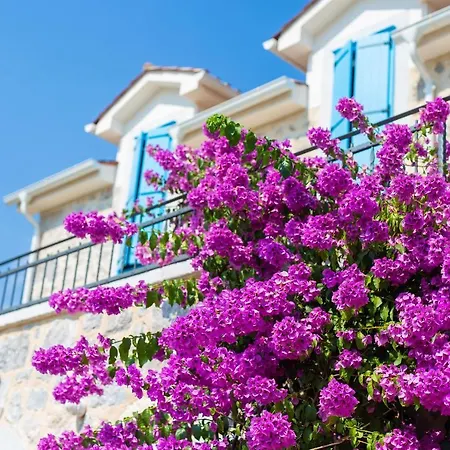 Luxury Ive With Heated Pool, Finnish Sauna, Infrared Sauna, Pet Friendly